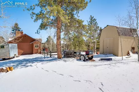 202 Aspen Cir, Divide, CO 80814 photo 38