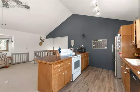 202 Aspen Cir, Divide, CO 80814 photo 14
