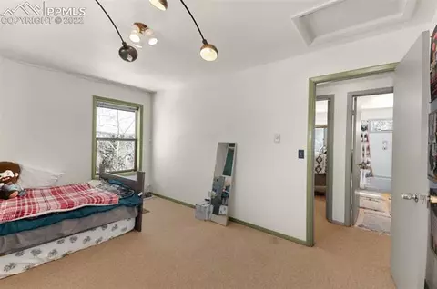 202 Aspen Cir, Divide, CO 80814 photo 18