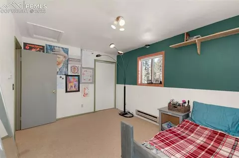 202 Aspen Cir, Divide, CO 80814 photo 19