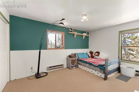 202 Aspen Cir, Divide, CO 80814 photo 17