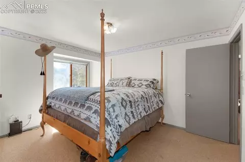 202 Aspen Cir, Divide, CO 80814 photo 22