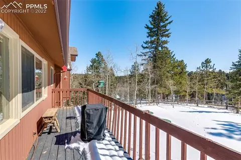 202 Aspen Cir, Divide, CO 80814 photo 5