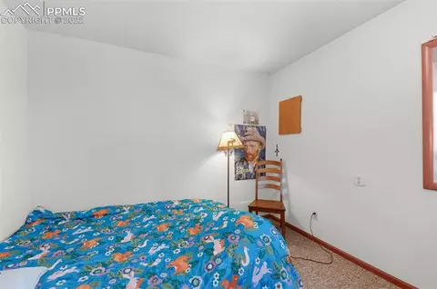 202 Aspen Cir, Divide, CO 80814 photo 32
