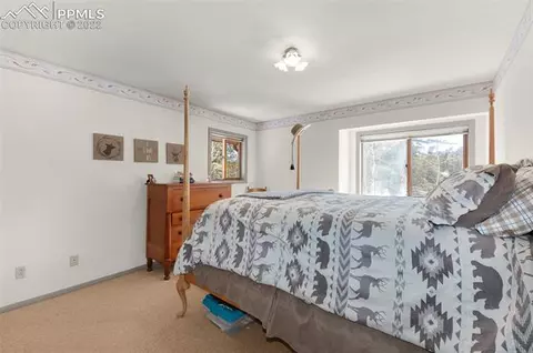 202 Aspen Cir, Divide, CO 80814 photo 21