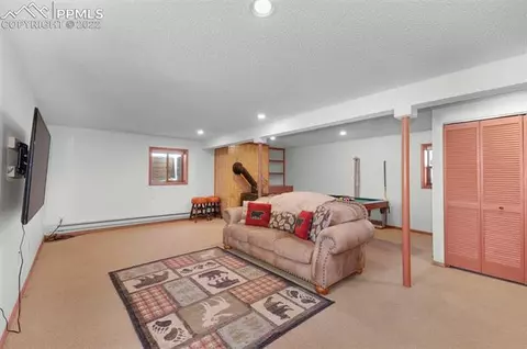 202 Aspen Cir, Divide, CO 80814 photo 26