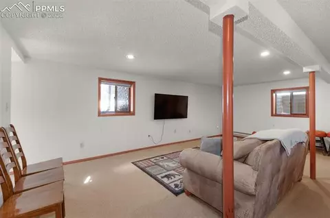 202 Aspen Cir, Divide, CO 80814 photo 25