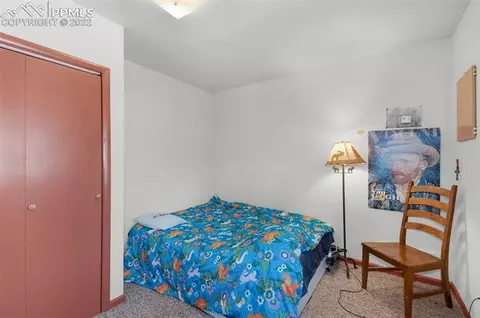 202 Aspen Cir, Divide, CO 80814 photo 31
