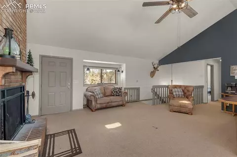 202 Aspen Cir, Divide, CO 80814 photo 8