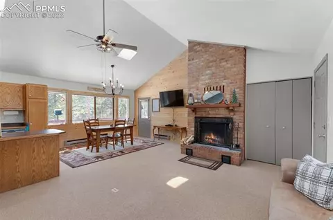 202 Aspen Cir, Divide, CO 80814 photo 10