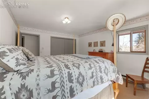 202 Aspen Cir, Divide, CO 80814 photo 24