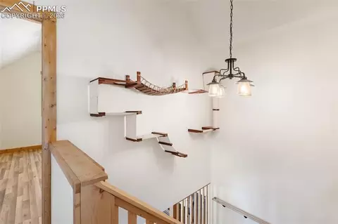Entry Way - 60 Beaver Pond Rd, Divide, CO 80814 photo 4 of 4