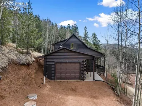 Exterior - 60 Beaver Pond Rd, Divide, CO 80814 photo 6 of 7