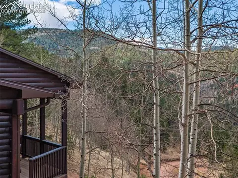 Exterior - 60 Beaver Pond Rd, Divide, CO 80814 photo 7 of 7