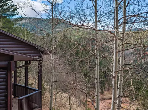 Exterior - 60 Beaver Pond Rd, Divide, CO 80814 photo 7 of 7
