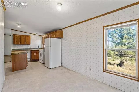 1711 Witcher Mountain Rd, Guffey, CO 80820 photo 16