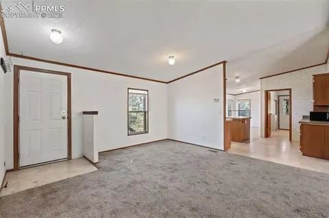 1711 Witcher Mountain Rd, Guffey, CO 80820 photo 4