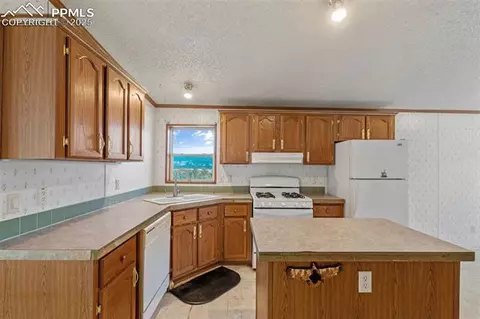 1711 Witcher Mountain Rd, Guffey, CO 80820 photo 11