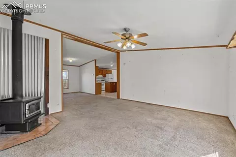 1711 Witcher Mountain Rd, Guffey, CO 80820 photo 9