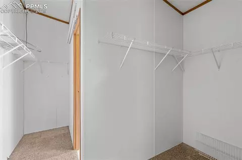 1711 Witcher Mountain Rd, Guffey, CO 80820 photo 23