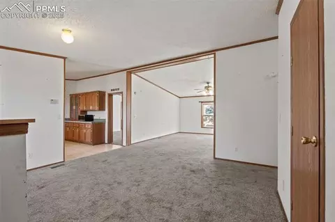 1711 Witcher Mountain Rd, Guffey, CO 80820 photo 3