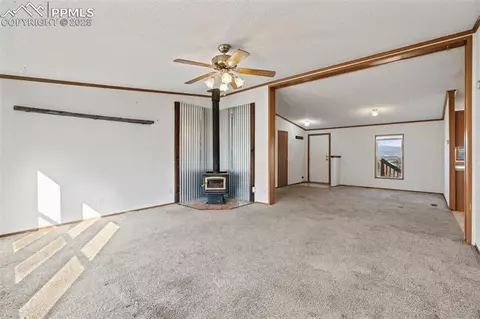 1711 Witcher Mountain Rd, Guffey, CO 80820 photo 8