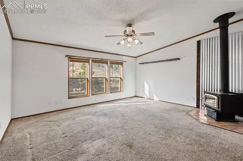 1711 Witcher Mountain Rd, Guffey, CO 80820 photo 7