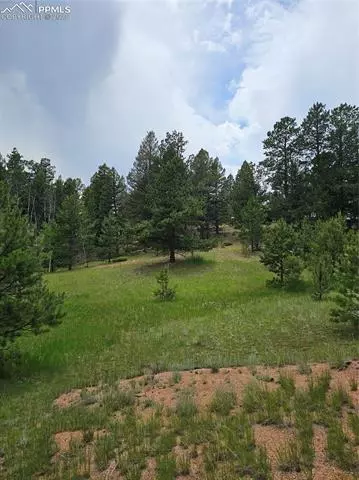 1694 County Road 512, Divide, CO 80814 photo 4