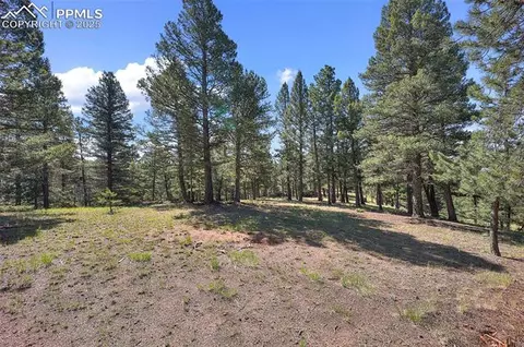 1694 County Road 512, Divide, CO 80814 photo 5
