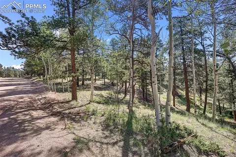 1694 County Road 512, Divide, CO 80814 photo 18