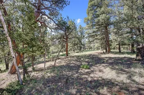 1694 County Road 512, Divide, CO 80814 photo 11