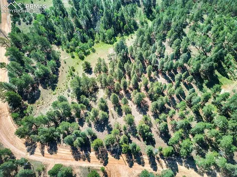 1694 County Road 512, Divide, CO 80814 photo 20