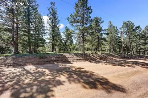 1694 County Road 512, Divide, CO 80814 photo 16