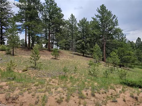 1694 County Road 512, Divide, CO 80814 photo 6