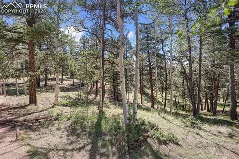 1694 County Road 512, Divide, CO 80814 photo 19