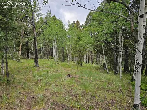 1694 County Road 512, Divide, CO 80814 photo 2