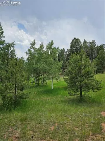 1694 County Road 512, Divide, CO 80814 photo 3