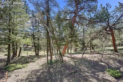 1694 County Road 512, Divide, CO 80814 photo 10