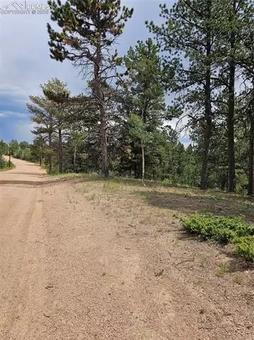 1694 County Road 512, Divide, CO 80814 photo 15