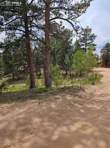 1694 County Road 512, Divide, CO 80814 photo 17