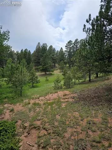 1694 County Road 512, Divide, CO 80814 photo 8