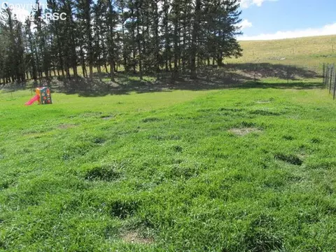 161 County Road 25 Na Na, Divide, CO 80814 photo 23