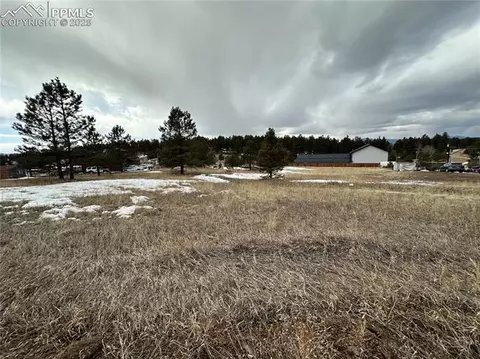 469 Rhyolite Ln, Florissant, CO 80816
