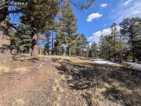 56 Rampart Cir, Florissant, CO 80816