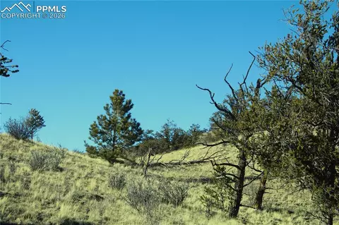697 Summit Rd, Hartsel, CO 80449 photo 9