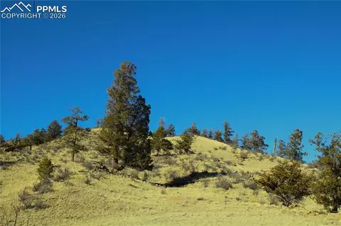 697 Summit Rd, Hartsel, CO 80449 photo 3