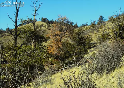 697 Summit Rd, Hartsel, CO 80449 photo 14