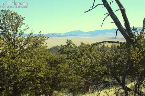 697 Summit Rd, Hartsel, CO 80449 photo 7
