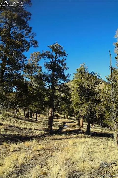 697 Summit Rd, Hartsel, CO 80449 photo 13