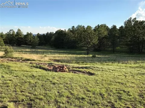 314 Arrowhead Dr, Florissant, CO 80816